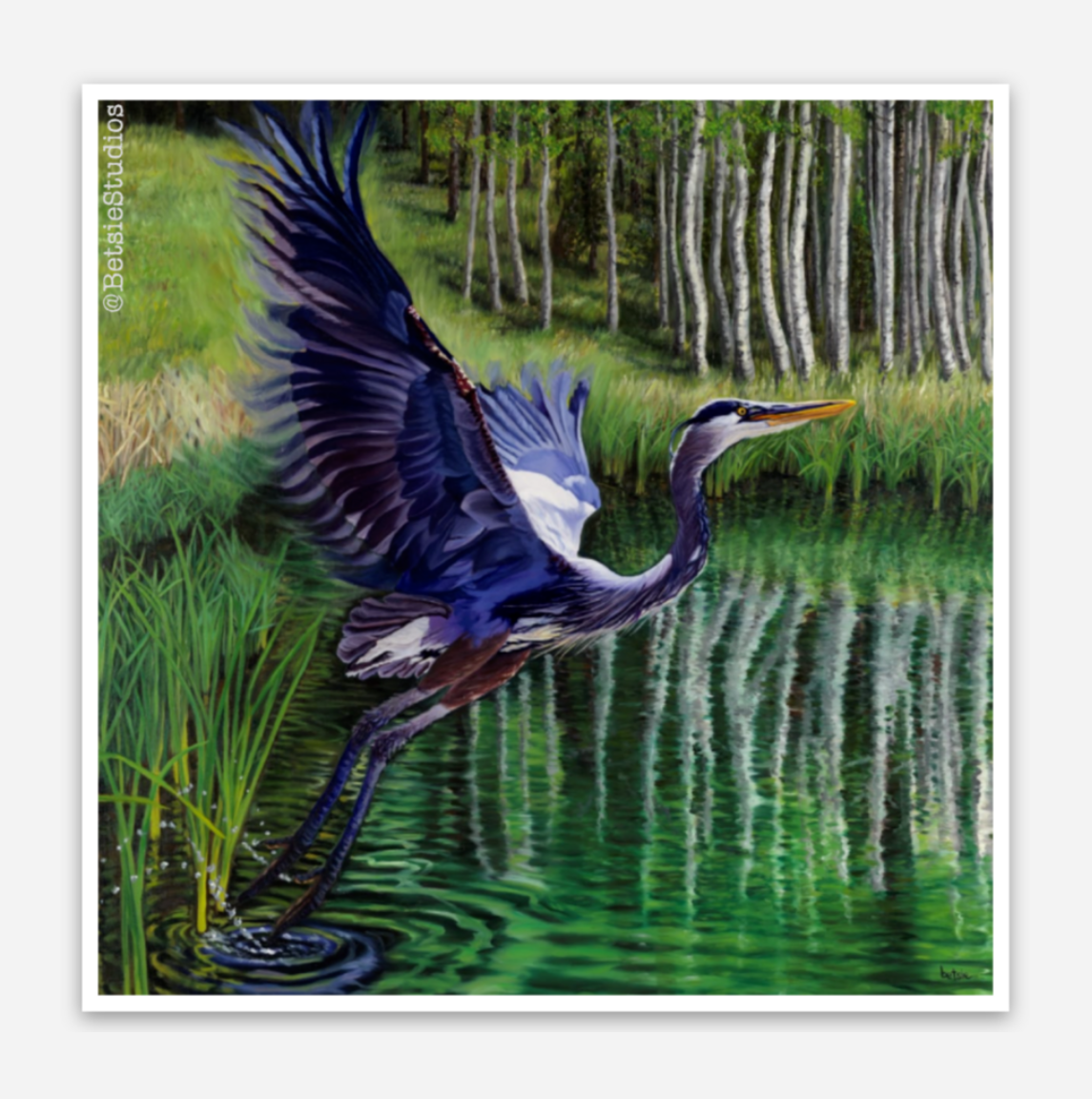 Great Blue Heron Vinyl Sticker
