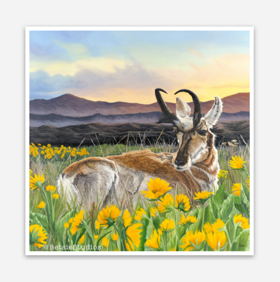 Pronghorn Vinyl Sticker