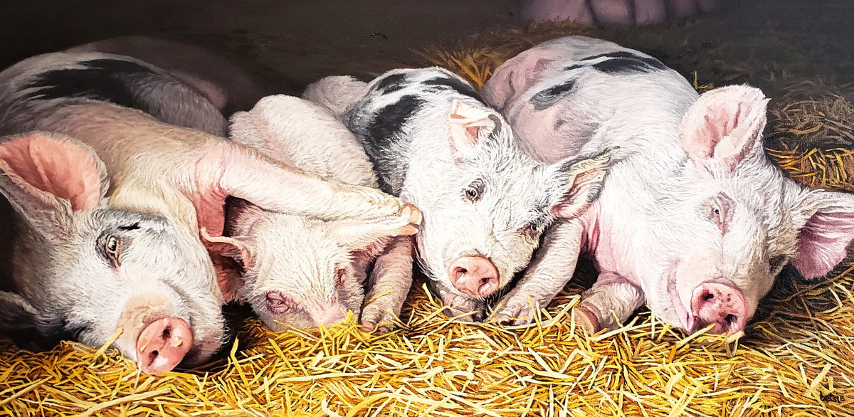 The Peaceful Slumber of Crate-free Pigs (Giclée Print)