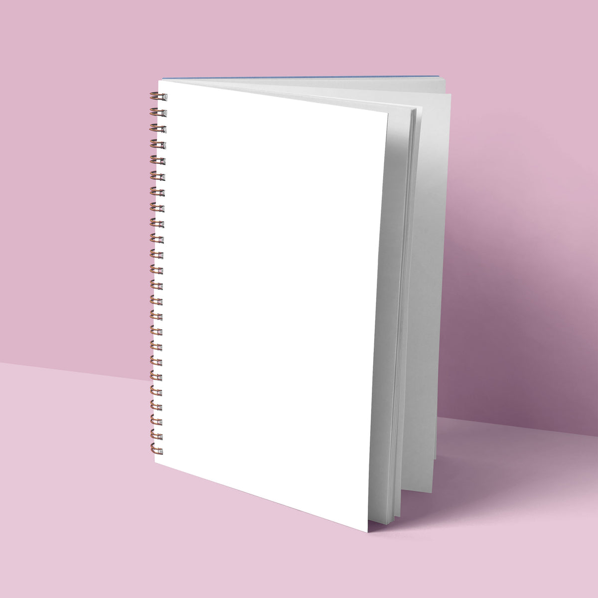 "Bursting with Potential" Notebook