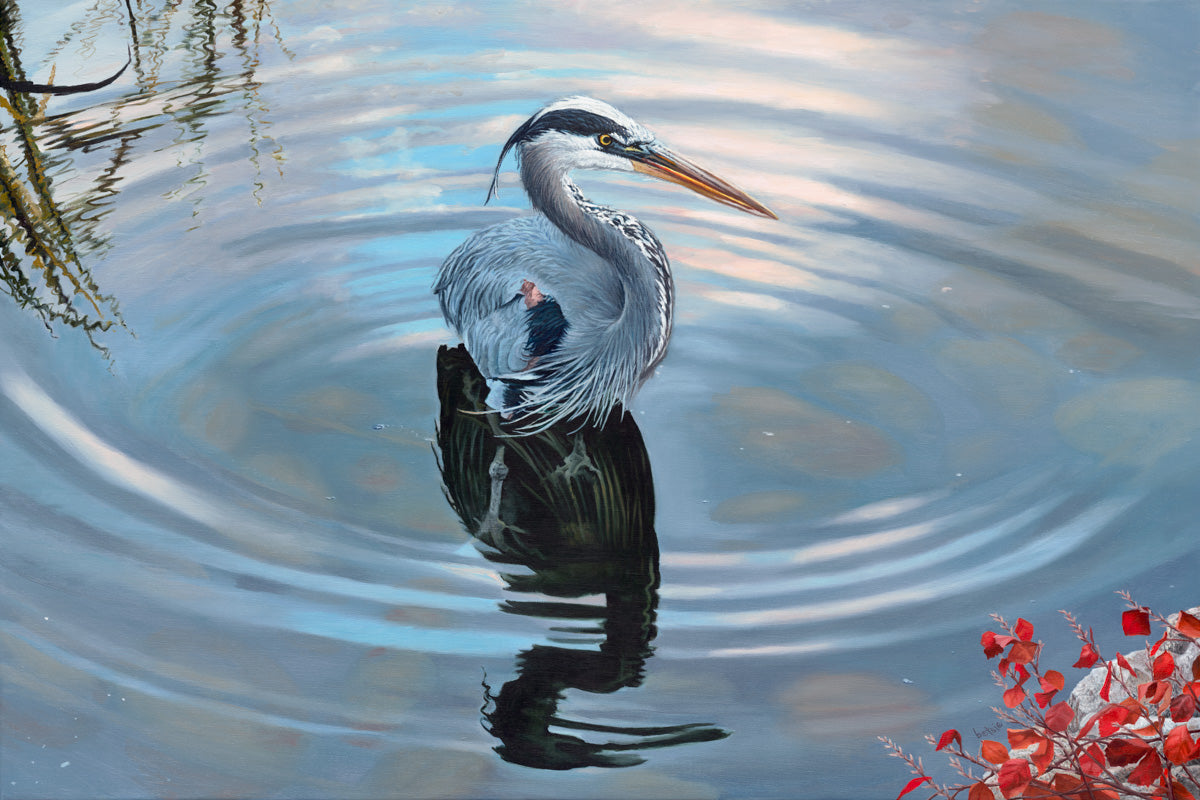 Great Blue Heron & The Ripple (Giclée Print)