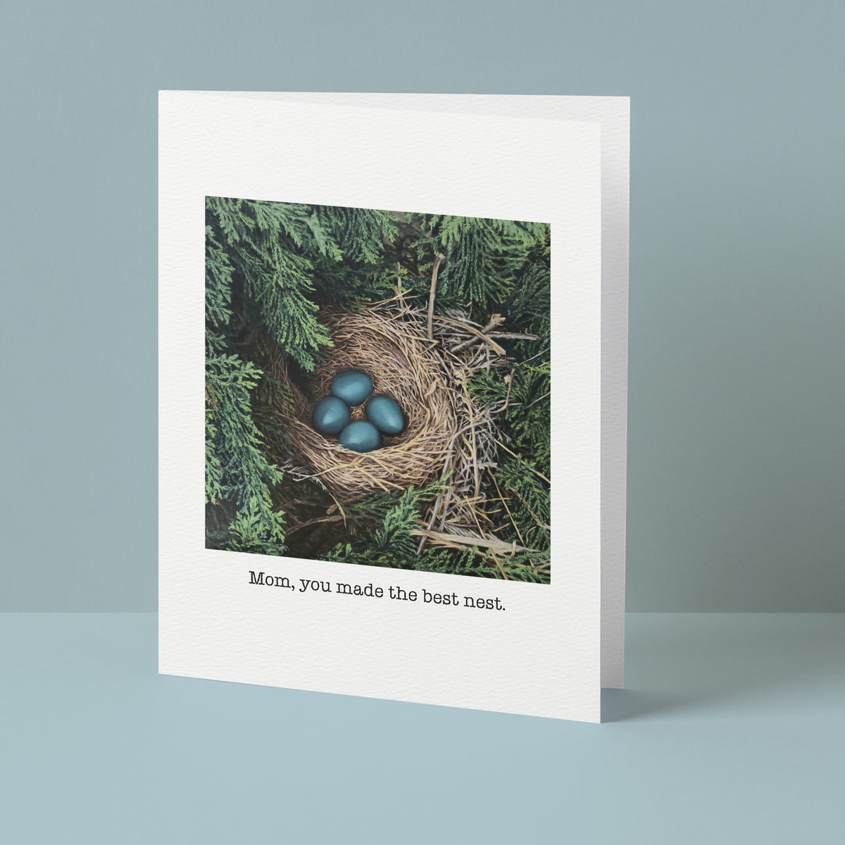 "Mom, you made the best nest" Greeting Card