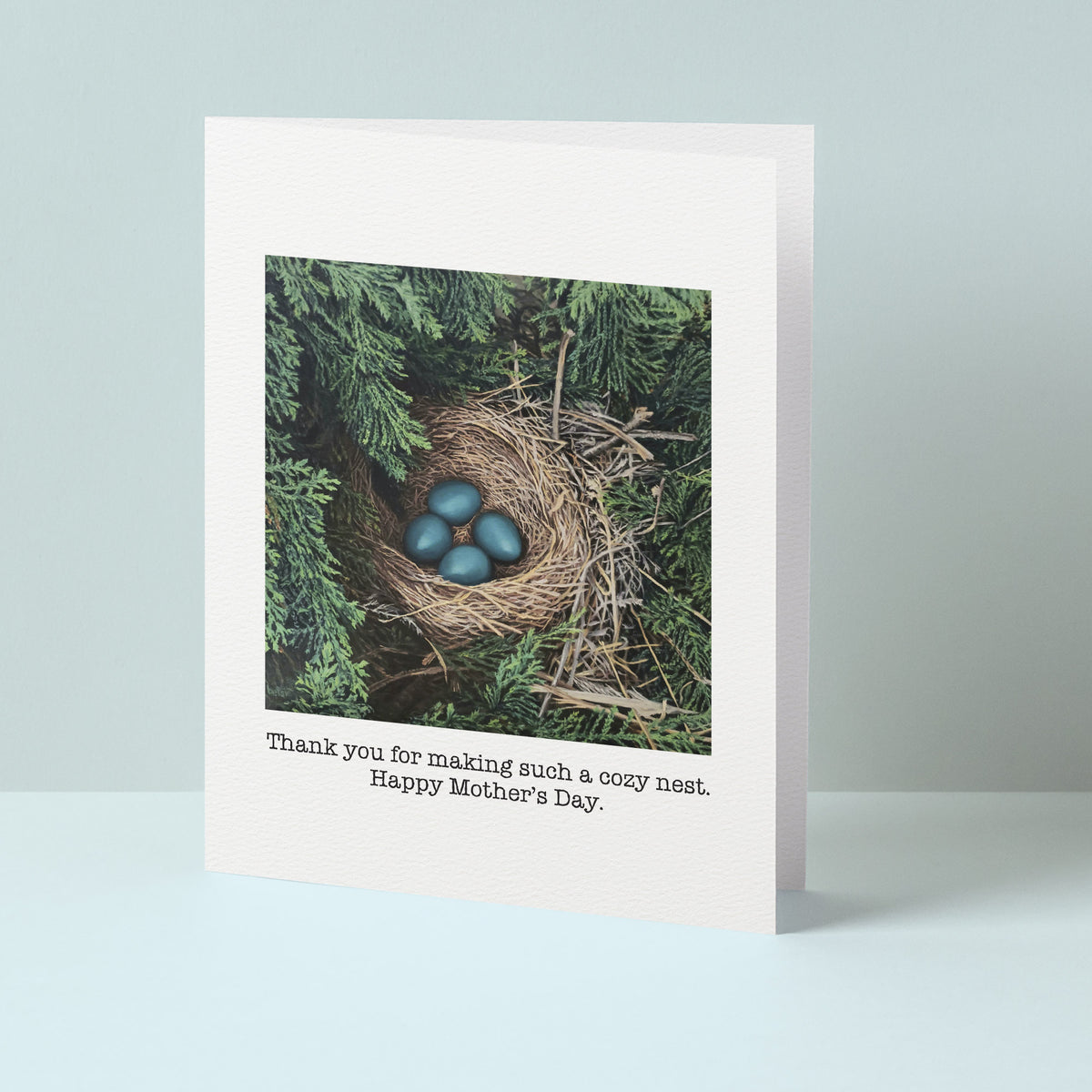 "Thank you for making such a cozy nest" Greeting Card