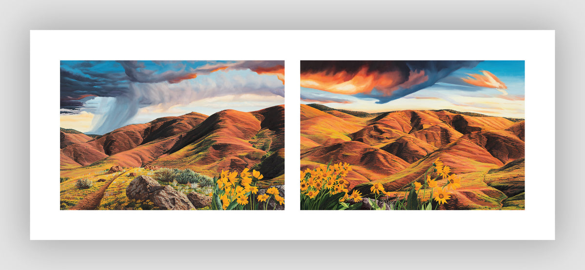 "Foothills Reverie" Greeting Card